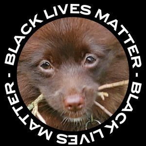 Meet your Posher, Marla